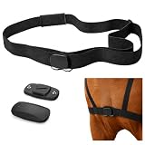Equine Pulse Tracker - Bluetooth Horse Heart Rate Monitor – Live BPM to Your Mobile for Riding, Training & Recovery - Adjustable Chest Strap Sensor - Compatible with iPhone & Android Devices