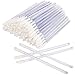 AKStore 100 Pcs Disposable Lip Brushes Make Up Brush Lipstick Lip Gloss Wands Applicator Tool Makeup Beauty Tool Kits (Clear)