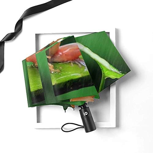 雨蛙さん専用です アースガーデン ネズミ専用立入禁止 強力追い出しジェット 450ml