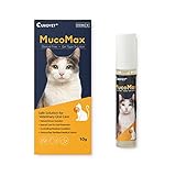 CUROVET MucoMax, Oral Wound Care Gel for Dogs and Cats, 0.35oz. Safe and Easy Care with 100% Natural Ingredients. Treats Oral Wound and Inflammation.