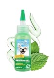 TropiClean Oral Care Brushing Gel for Dogs & Cats| Dog Toothpaste | Pet Dental Gel | Dog Teeth Cleaning Use with Pet Toothbrush | 2 oz