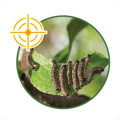 Forth Mata Lagarta, Pronto Uso, Inseticida de Contato e Ingestão, Deltametrina, 500ml