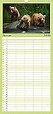 Der Bärenkalender - Familienplaner hoch (Wandkalender 2019, 21 cm x 45 cm, hoch) - Max Steinwald
