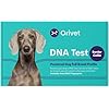ORIVET Dog DNA Test Kit Border Collie Full Breed Profile Puppy Testing Against 250 Medical Health Risks Traits Genetic Fingerprint Wellness Plan at Home Cheek Swab