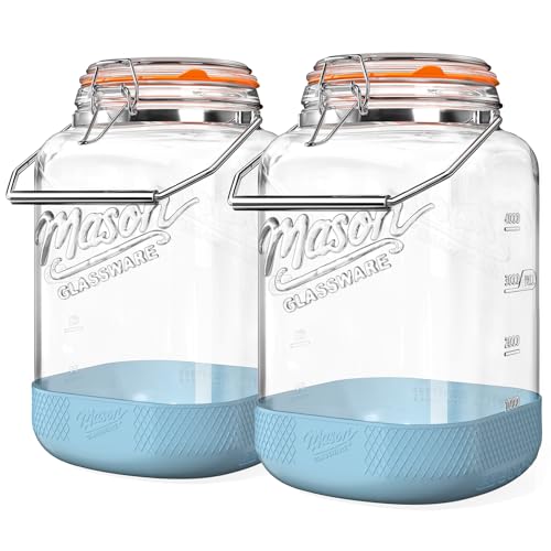 Dwbligt 1.5 Gallon Large Glass Jar with Airtight Hinged Lid Square 192 Oz