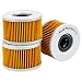 Road Passion Filtro de aceite para HONDA CB250 RSA 1880-1883 SUPERDREAM 1881-1885...
