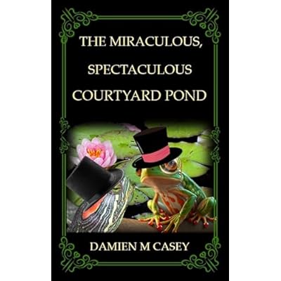 The Miraculous, Spectaculous Courtyard Pond