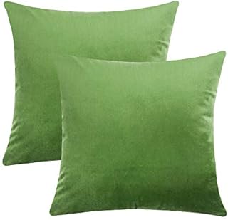 COWORK-UP Velvet Soft Cushion Cover Throw Pillow Case Decorative Square Sofa Pillowcase for Home Xmas Decor Favor, 18 x 18 inch / 45 x 45 cm with Invisible Zipper, Set of 2