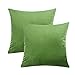 COWORK Funda de cojín de terciopelo suave, funda de almohada decorativa cuadrada para sofá, decoración de Navidad, 45 x 45 cm con cremallera invisible, juego de 2 unidades (verde té)