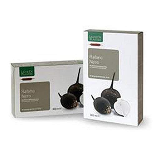 Rafano nero biologico 20 fiampolle bevibili da 15