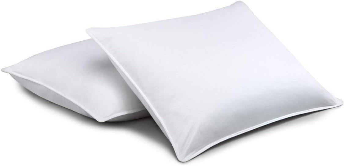 Standard Textile Chamberloft Down Pillow, Set of 2, King (20x36 inches)