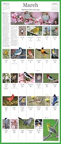 Audubon Songbirds And Other Backyard Birds Picture-A-Day Wall Calendar 2022: Your Daily Sighting Of Songsters That Bring Color, Joy, And Sweet Melodies. #TOP4
