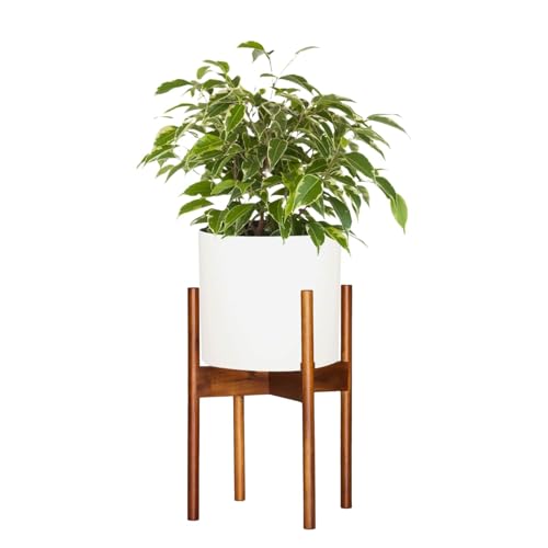 Fox & Fern Mid-Century Planter -- Best Statement Piece
