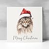 Postcard Prints - Fun Christmas Card of a Maine Coon Cat Wearing A Santa Hat Whimsical Watercolour Christmas Card For Animal Lover For Him or Her #1