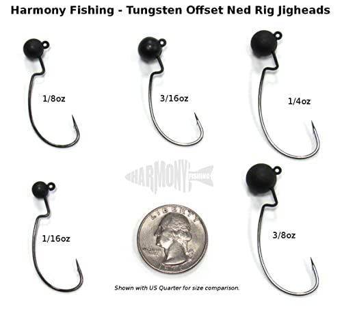 Harmony Fishing - Tungsten Offset Weedless Ned Rig Jigheads (5 Pack) (1/8oz (5 Pack)) - Thumbnail 6