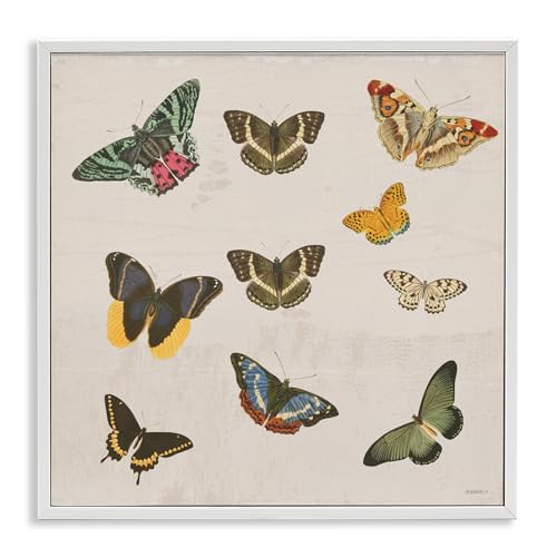 Poster encadré papillon blanc Stupell fabrication États-Unis - 2