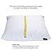 downluxe Pillow Inserts,Set of 2