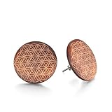 Größe: Durchmesser etwa 19 mm