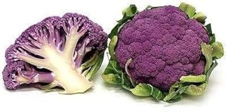 Italian Purple Cauliflower Seeds (95 Seeds) Seeds for Planting, Farm, Growing in Garden, Greenhouse, Vegetable, Fruit