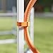 PawHut Agility Set Hunde 4-teiliges Agility-Ausrüstung für Hundetraining Steckhürdenset mit höhenverstellbar Hürden Reifen Trainingszubehör Koordinationstraining Agilityset für Spiele Training