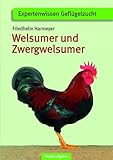 Welsumer und Zwerg-Welsumer | Expertenwissen Geflügelzucht (Schriftenreihe für Geflügelkunde)