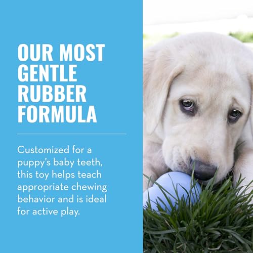 image for KONG Puppy - Natural Teething Rubber Chew Toy for Dogs - Stuffable Dog