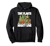 Succulent Mini Plants Botanical Gift