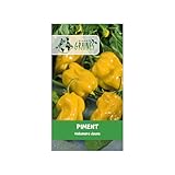 10 graines de piment habanero jaune (capsicum chinense) piment antillais fort et fruité
