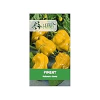 Rendement généreux : Chaque plant vigoureux produit une abondance de fruits en forme de lanterne, passant du vert au jaune éclatant à maturité. Culture polyvalente : Idéal pour la culture sous serre ou en pot sur une terrasse bien exposée, ajoutant u...