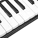 32 Keys Melodica Keyboard, Melodica Instrument Mouth Piano Air Piano Keyboard with Mouthpiece and Tube Keytar Instrument for Beginners(Black Melodica)