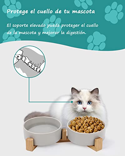 JOFLVA Futternapf Hund Keramik Futternapf Katze Doppelt Futternapf für Hunde und Katze mit Bambus Ständer und Rutschfester Unterlage (400ml, 2-Grün)