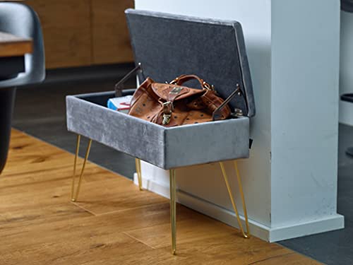 Banquette Scarlett velours coffre rangement 150 kg Echtwerk