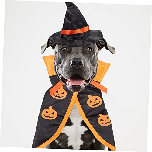 Disfraz Halloween para perros y gatos capa y sombrero miniatura 6