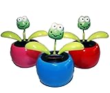 in verschiedenen bunten Topffarben mit dem Motiv Frosch