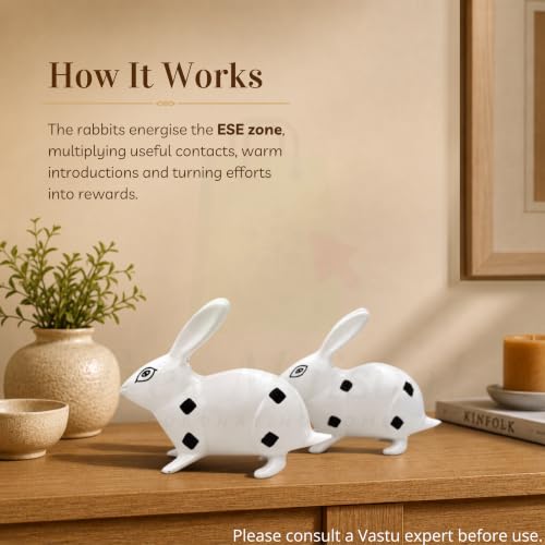 Image of Brass Rabbit Pair Statue | Weight - 490 G Approx | Vastu Shastra | Home Decor Statue | Vastu Remedy | Wealth and Prosperity | Material- Brass | Black and White Painted |
