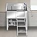 34 Inch Stainless Steel Dog Bathing Station, Professional Dog Grooming Tub with Three Anti-Slip Steps and Removable Door, Dog Pet Wash Bath Station Right Door
