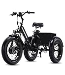 NOMIGO Electric Tricycle for Adult E Trike 3 Wheel Ebike 3 Wheels bicycle 25KM/H 48V15AH Lithium Battery PAS Max 75km range 20×4.0" Fat Tire E-Tricycle electric trike Black