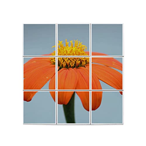 Carreaux céramique décoratif fleur orange pour égayer un mur sombre