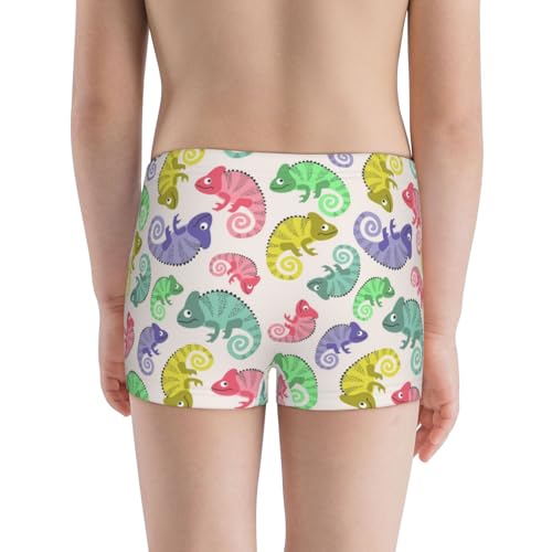 Boys' Cotton Boxer Brief Soft Underwear-Cute Chameleons3