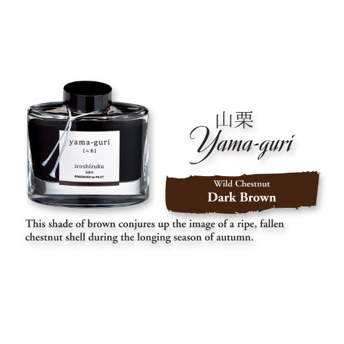 Image of Pilot Iroshizuku Bottled Fountain Pen Ink, Yama-Guri, Wild Chestnut, Dark Brown (69219)