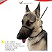 Premium Geschirr Hund - Erziehungshalsband liebevoll, Antizug- / no Pull Geschirr garantiert, mindert Aggression, Antibellhalsband, Kopfhalfter, Hundehalfter: kleine bis große Hunde, schwarz
