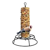 Cylinder Bird Feeder - Weatherproof Heavy Duty, Bird Holder with Safe Feeding Design, Wild Birds Station, Outdoor Accessory, Aviary Kit for Home Patio Parrots Finch Watching