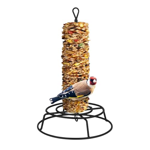 Cylinder Bird Feeder - Weatherproof Heavy Duty, Bird Holder with Safe Feeding Design, Wild Birds Station, Outdoor Accessory, Aviary Kit for Home Patio Parrots Finch Watching
