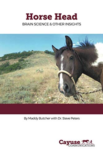 Horse Head: Brain Science & Other Insights