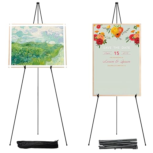 2 Pack 63 inch black easel stands