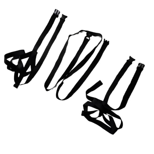 Image of Extra Straps for TREK N RIDE CARGOKING CAR ROOF Luggage Bag