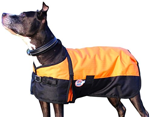 Derby Originals Horse Tough 600D Ripstop Waterproof Winter Dog Coat 150g Medium Weight, Orange, 26.5