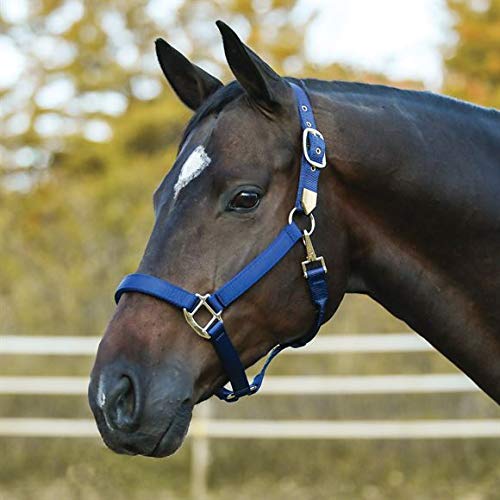 Supreme Triple Ply Nylon Horse Halter with Brass Grommets | Custom Name Plate & Embroidery Option | Heavy-Duty Brass-Plated Hardware | Easy Adjustable Fit