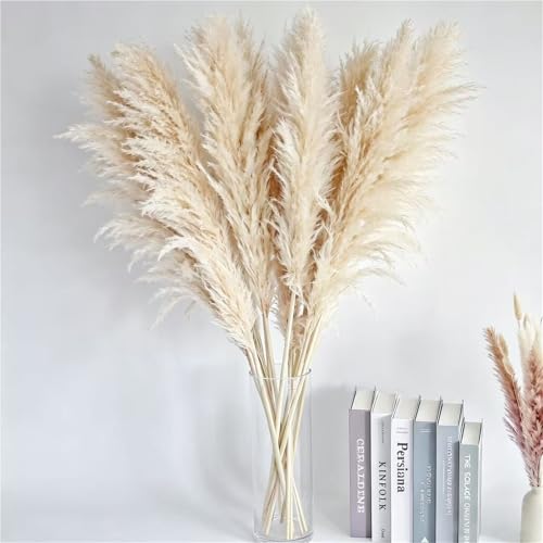 Ramo de pasto pampas natural de 20 tallos 39.37 pulg miniatura 6