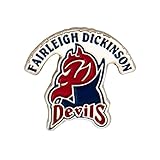 Desert Cactus Fairleigh Dickinson University Lapel Pins FDU Knights Devils College Logo Enamel Made of Metal (Pin A)